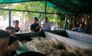 Image of Demonstration & collection of Vermicompost